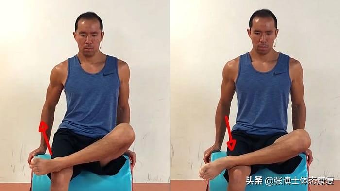 髋关节训练椅说明书_髋关节训练椅_髋关节训练椅的用途