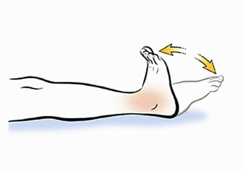 髋关节训练椅_髋关节训练椅说明书_髋关节训练器的适应症