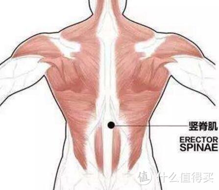 髋关节训练椅_髋关节训练椅的用途_髋关节坐姿
