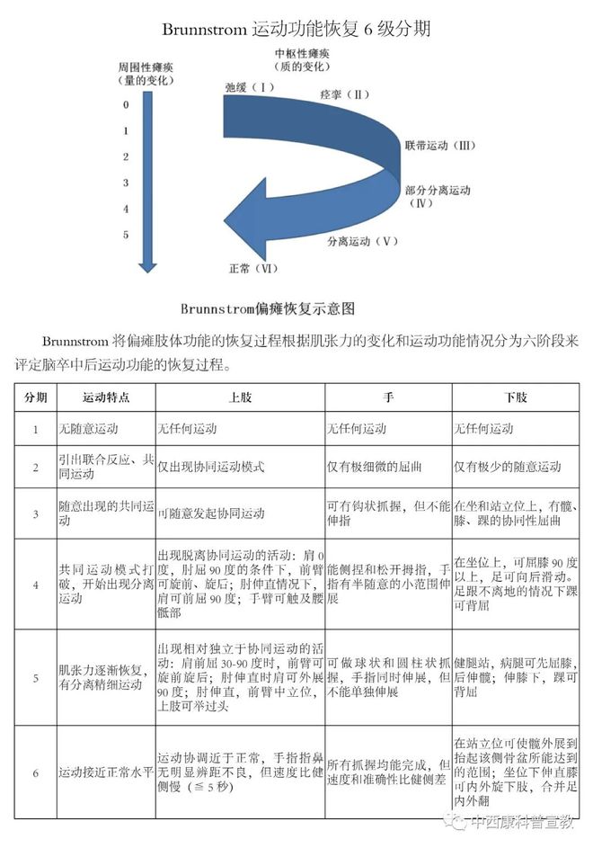 髋关节训练椅_髋关节训练椅的用途_髋关节训练椅说明书