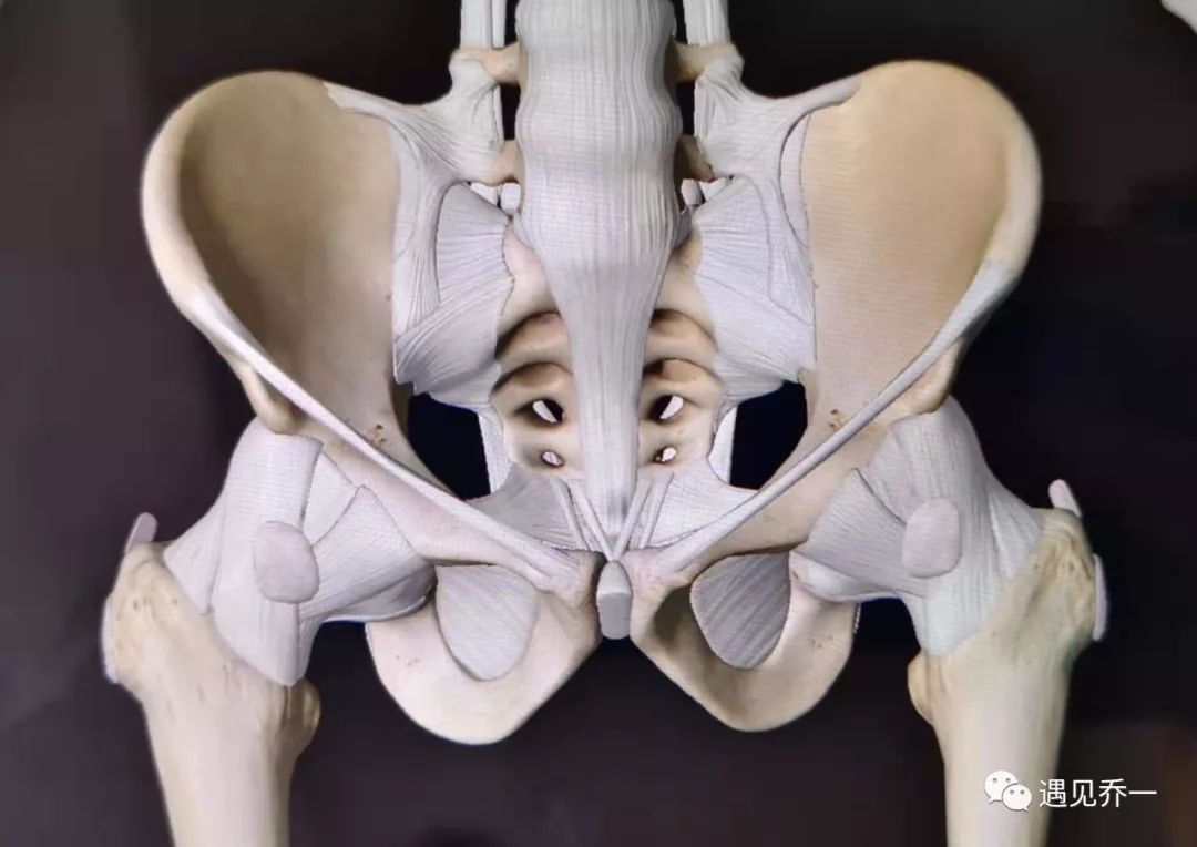 髋关节训练椅的用途_髋关节训练椅_髋关节坐姿