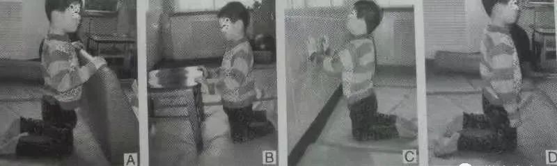 髋关节训练椅说明书_髋关节训练椅_髋关节训练椅的用途