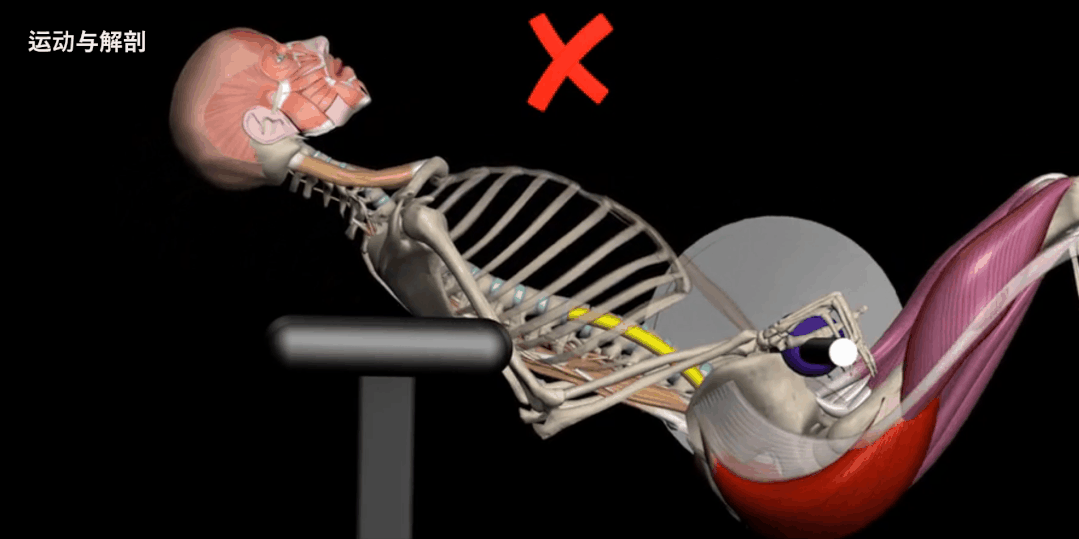 股四头肌训练椅子_股四头肌训练椅_股四头肌训练椅使用方法