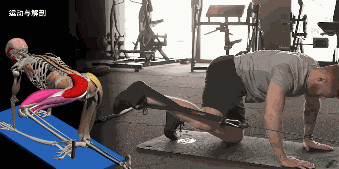 股四头肌训练椅子_股四头肌训练椅_股四头肌训练椅使用方法