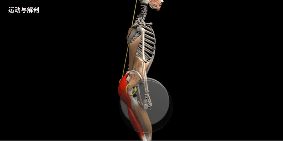 股四头肌训练椅使用方法_股四头肌训练椅_股四头肌训练椅子