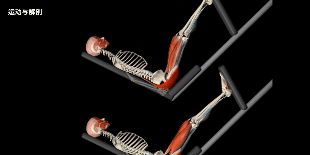 股四头肌训练椅_股四头肌训练椅使用方法_股四头肌训练椅子