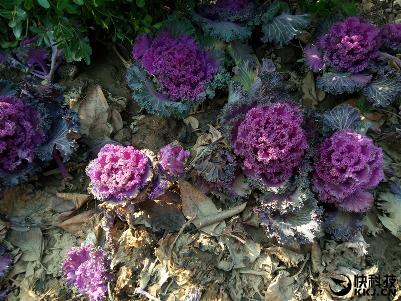 60分钟几乎满血 魅族799颜值新担当魅蓝5s深度体验