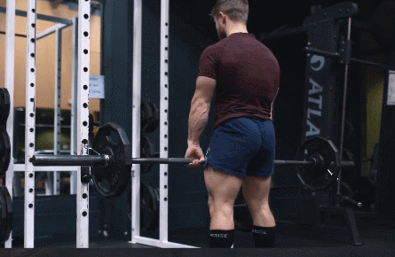 股四头肌训练椅注意事项_股四头肌训练椅_股四头肌训练椅子