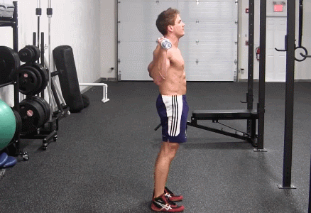 股四头肌训练椅注意事项_股四头肌训练椅_股四头肌训练椅子