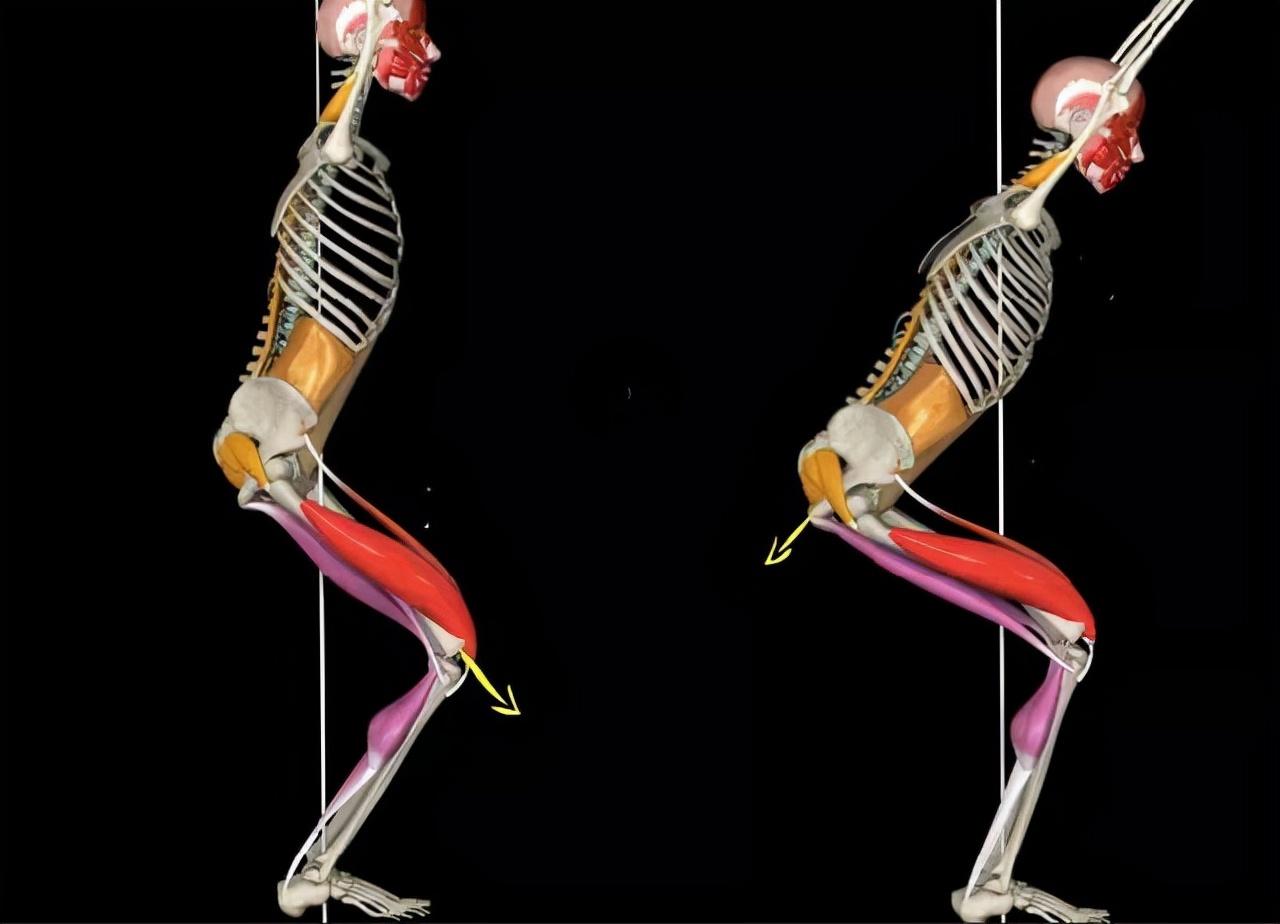 髋关节训练椅_髋关节训练器的适应症_髋关节训练椅的用途
