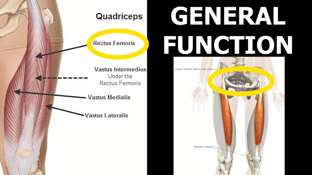 股四头肌训练椅使用方法_股四头肌训练椅安装视频_股四头肌训练椅