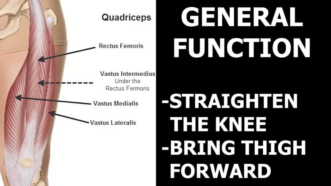 股四头肌训练椅安装视频_股四头肌训练椅_股四头肌训练椅使用方法
