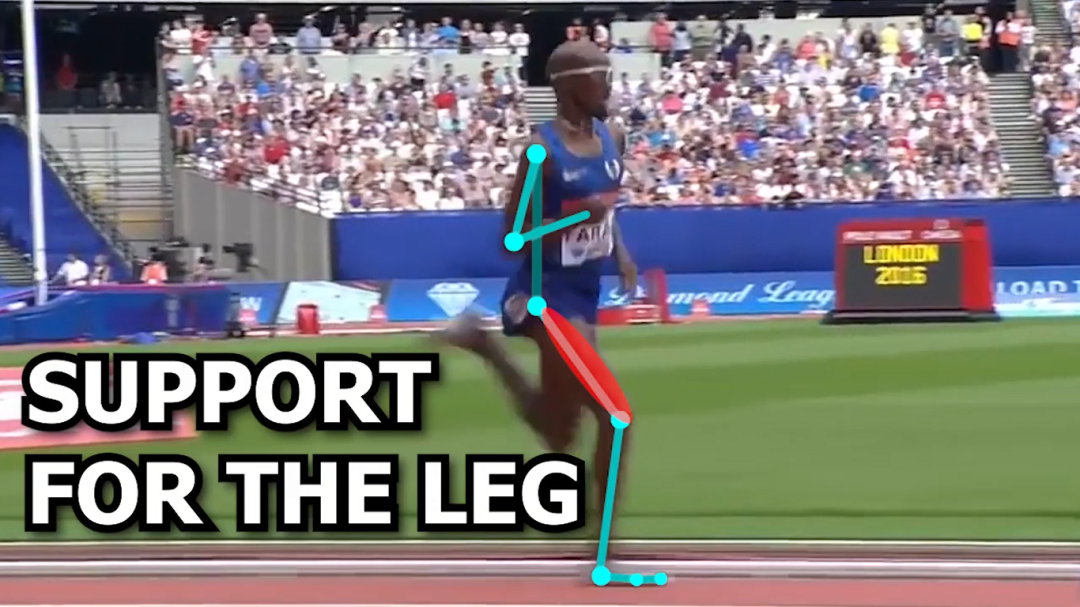 股四头肌训练椅_股四头肌训练椅安装视频_股四头肌训练椅使用方法