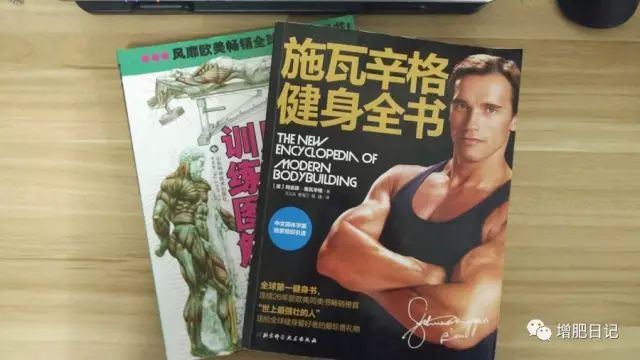 开yun体育官网入口登录app 想要健身增重，该从哪里开始？