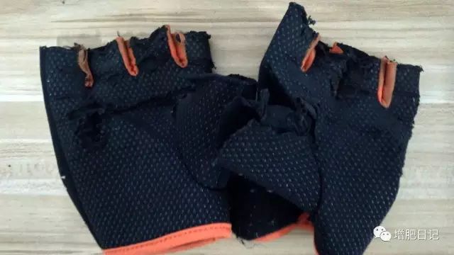 健身手套知乎_最好的健身手套_健身手套紧一点好还是松一点好