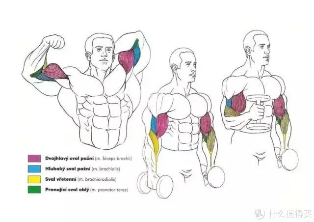 健身手套作用_最好的健身手套_健身手套知乎