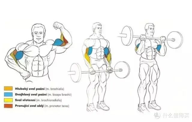 健身手套知乎_健身手套作用_最好的健身手套