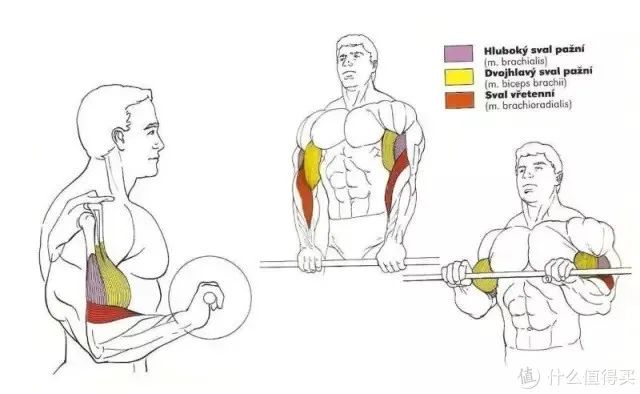 健身手套作用_最好的健身手套_健身手套知乎