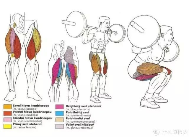 健身手套知乎_最好的健身手套_健身手套作用