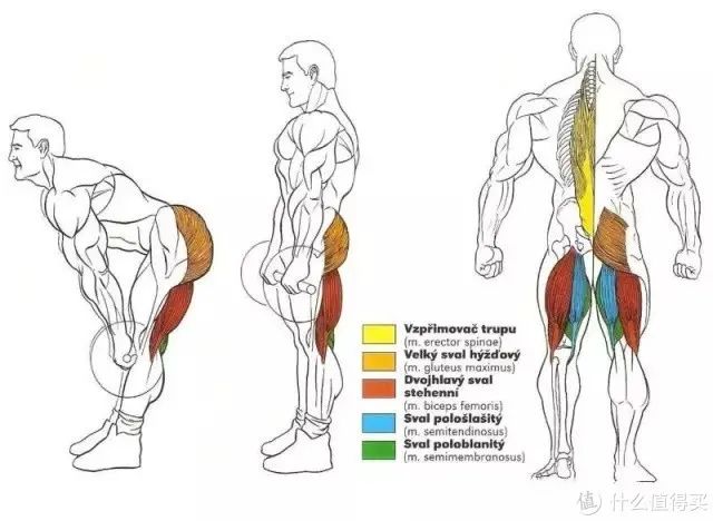 健身手套作用_最好的健身手套_健身手套知乎