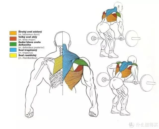 健身手套知乎_健身手套作用_最好的健身手套