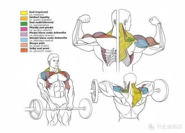 最好的健身手套_健身手套知乎_健身手套作用