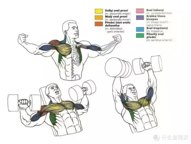健身手套知乎_健身手套作用_最好的健身手套
