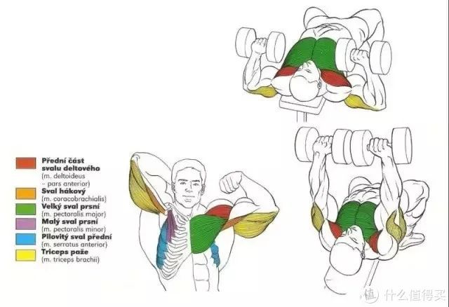 健身手套知乎_最好的健身手套_健身手套作用