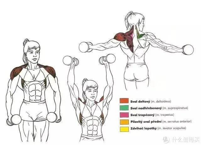 健身手套知乎_最好的健身手套_健身手套作用