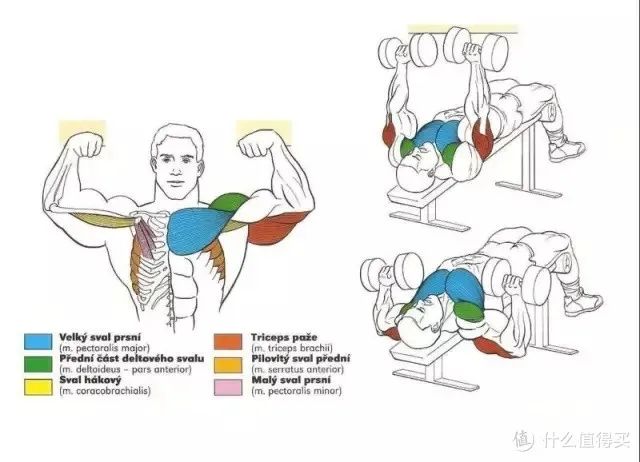 健身手套作用_最好的健身手套_健身手套知乎