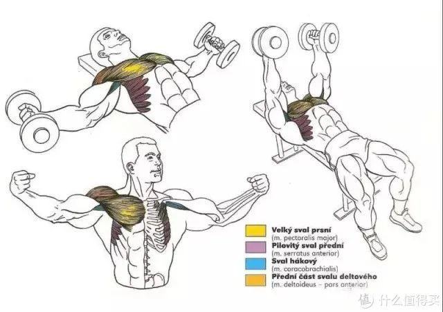 健身手套作用_最好的健身手套_健身手套知乎