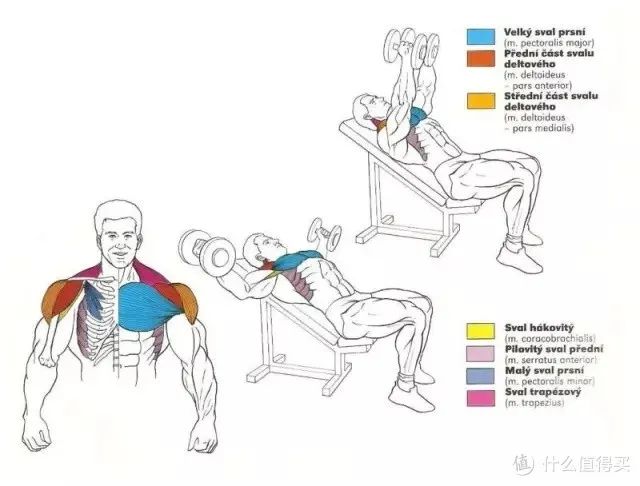 健身手套知乎_健身手套作用_最好的健身手套