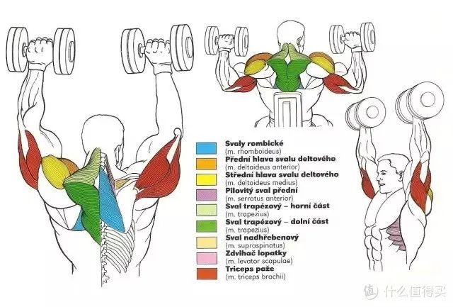 健身手套知乎_健身手套作用_最好的健身手套