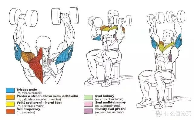 健身手套作用_健身手套知乎_最好的健身手套