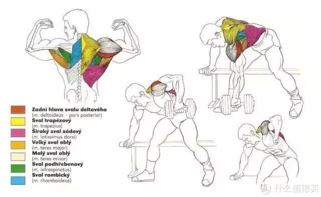 健身手套作用_最好的健身手套_健身手套知乎