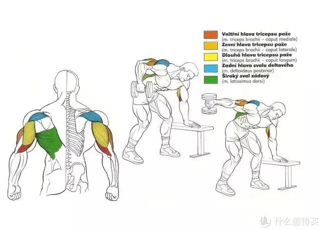 最好的健身手套_健身手套知乎_健身手套作用