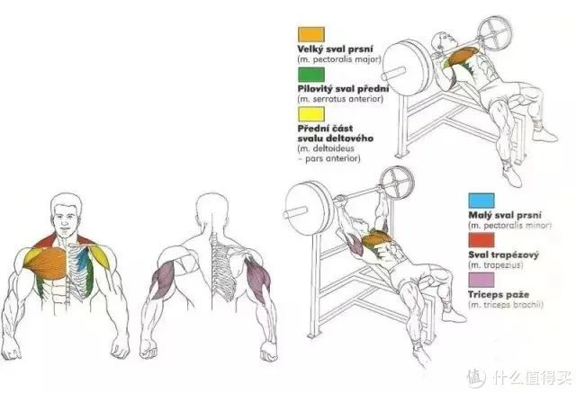 健身手套知乎_健身手套作用_最好的健身手套