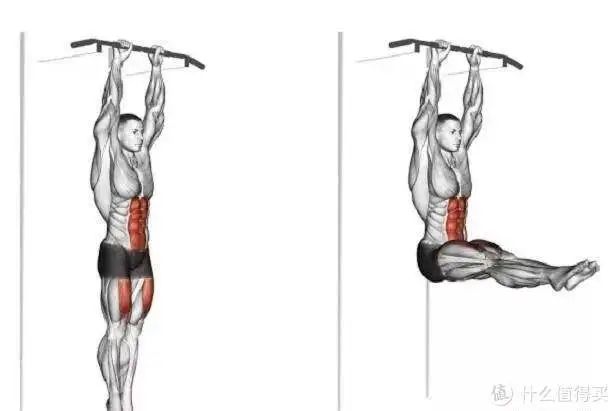 健身手套知乎_最好的健身手套_健身手套作用