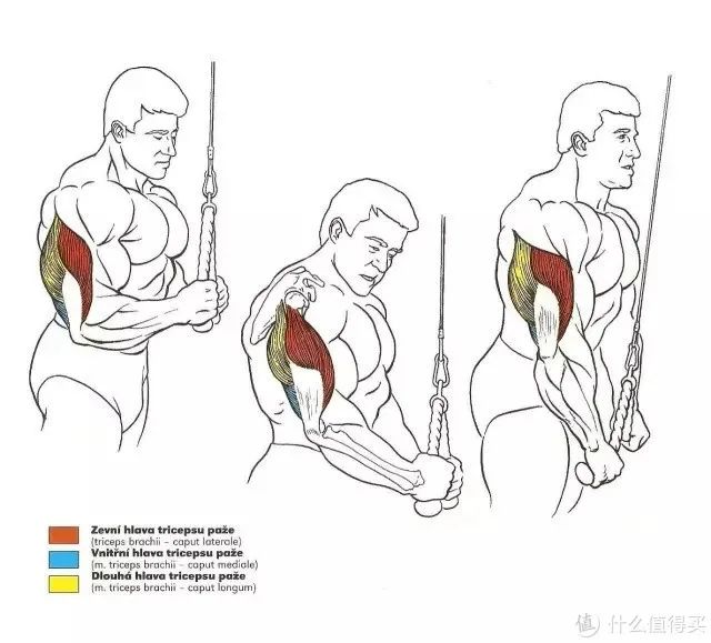 健身手套作用_最好的健身手套_健身手套知乎