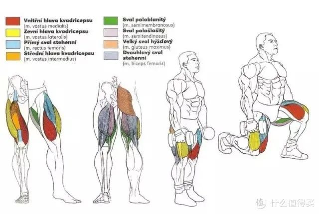 健身手套知乎_健身手套作用_最好的健身手套