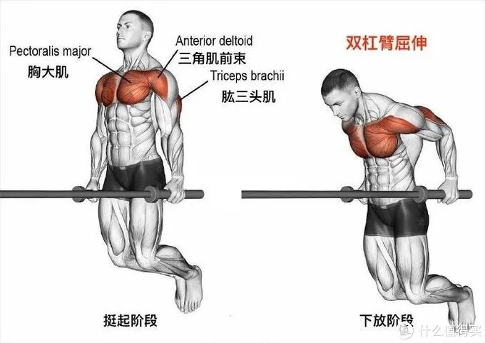健身手套作用_最好的健身手套_健身手套知乎