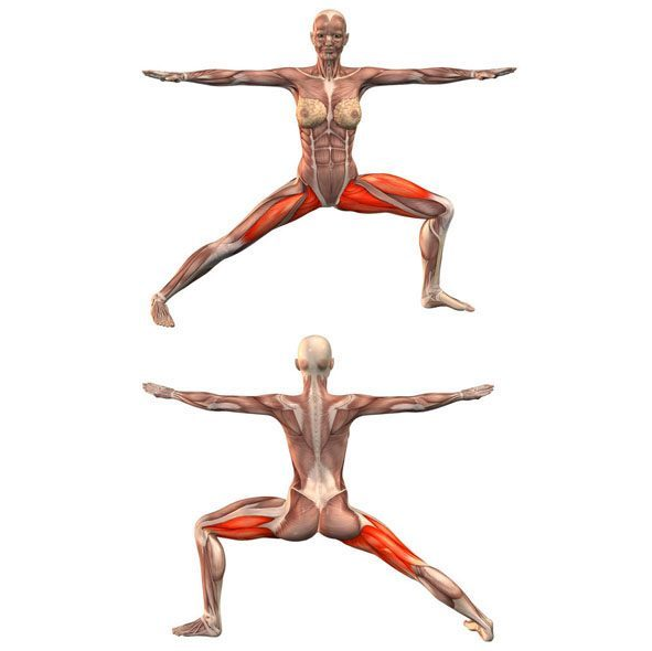 髋关节训练椅_髋关节训练器_髋关节训练器的适应症