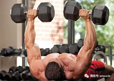 胸肌练出来_胸肌和什么肌肉一起练比较好_练胸肌胸会变大么