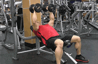 胸肌和什么肌肉一起练比较好_练肌肉胸会变小吗_胸肌练出来