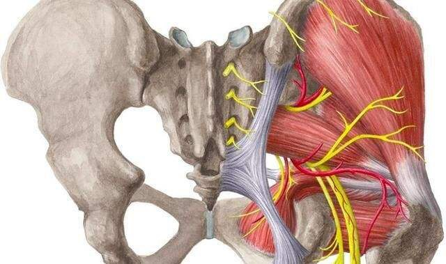髋关节坐姿_髋关节训练椅_髋关节训练器