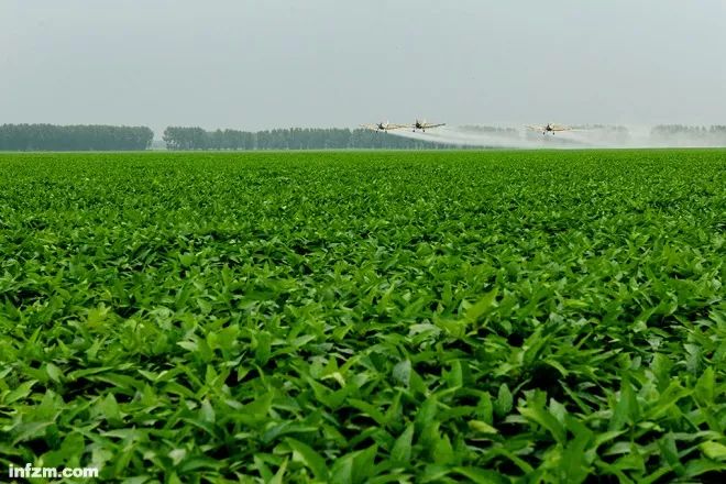 五站综合训练器_综合器械训练视频_语文综合能力训练