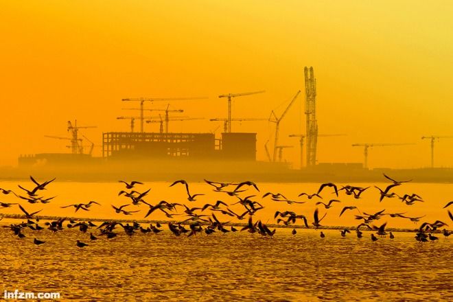 五站综合训练器_综合器械训练视频_语文综合能力训练