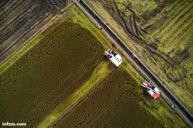 五站综合训练器_语文综合能力训练_综合器械训练视频