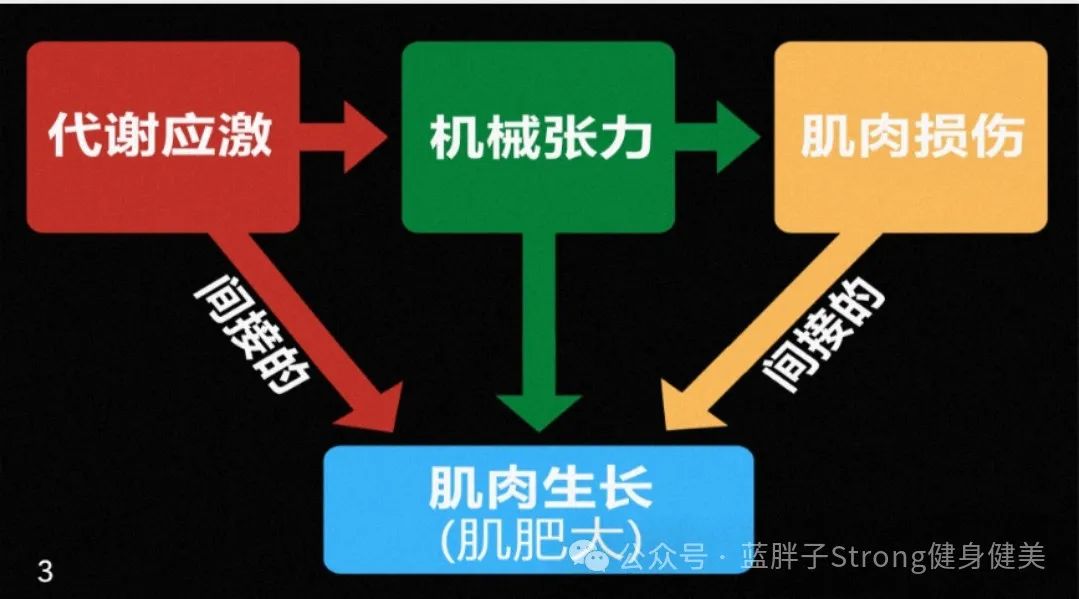 手套健身护腕需要戴吗_健身手套需要护腕吗_健身手套护腕什么牌子好