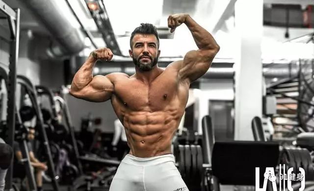 健身椅训练动作_推荐健身椅_健身椅推荐知乎